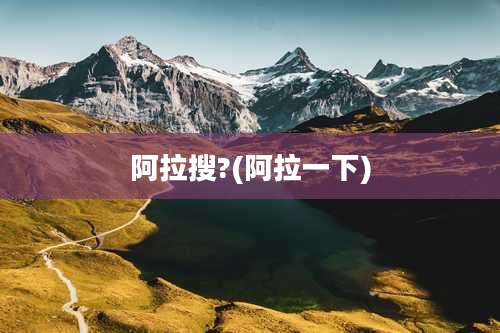 阿拉搜?(阿拉一下)