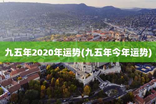 九五年2020年运势(九五年今年运势)