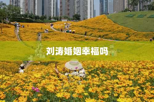 刘涛婚姻幸福吗