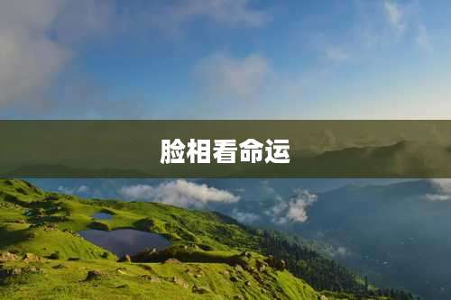 脸相看命运