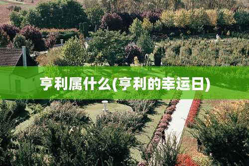 亨利属什么(亨利的幸运日)