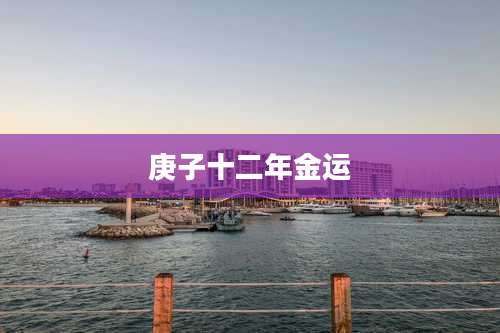庚子十二年金运
