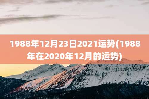 1988年12月23日2021运势(1988年在2020年12月的运势)
