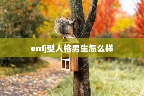 enfj型人格男生怎么样