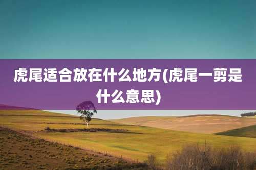 虎尾适合放在什么地方(虎尾一剪是什么意思)