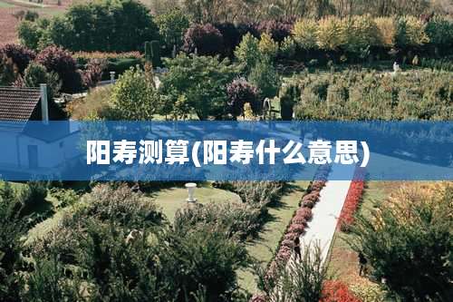 阳寿测算(阳寿什么意思)