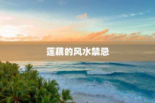 莲藕的风水禁忌