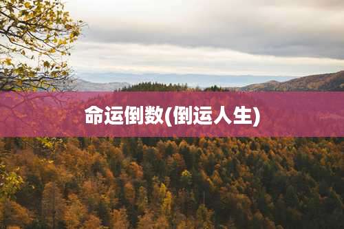 命运倒数(倒运人生)