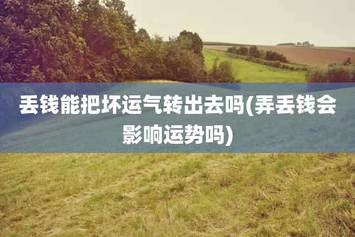 丢钱能把坏运气转出去吗(弄丢钱会影响运势吗)