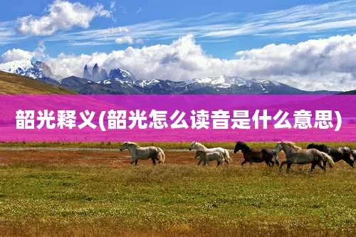 韶光释义(韶光怎么读音是什么意思)