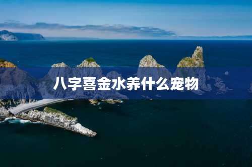 八字喜金水养什么宠物