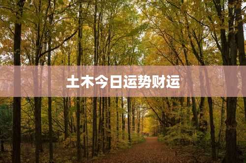 土木今日运势财运