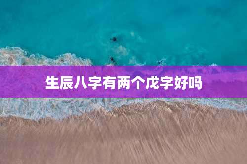 生辰八字有两个戊字好吗