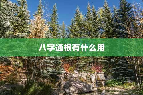 八字通根有什么用