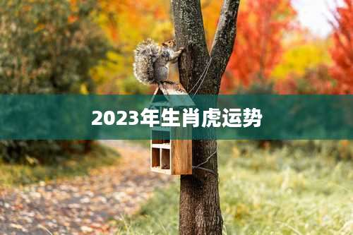 2023年生肖虎运势
