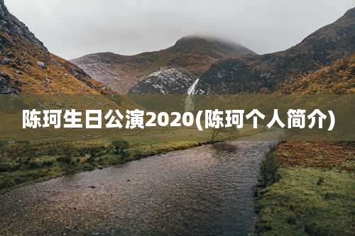 陈珂生日公演2020(陈珂个人简介)