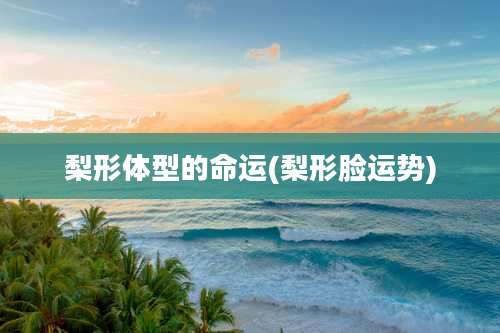 梨形体型的命运(梨形脸运势)