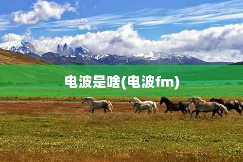 电波是啥(电波fm)
