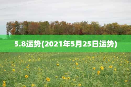 5.8运势(2021年5月25日运势)