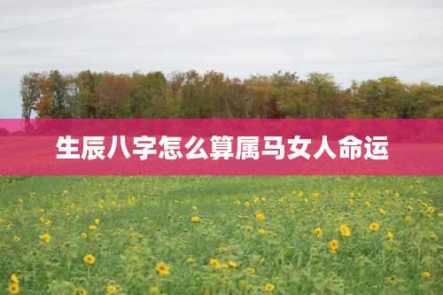 生辰八字怎么算属马女人命运