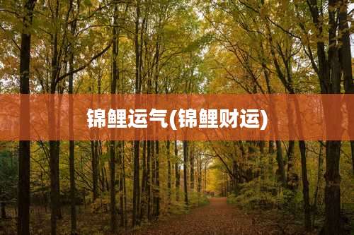 锦鲤运气(锦鲤财运)