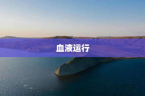 血液运行