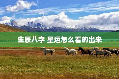 生辰八字 星运怎么看的出来