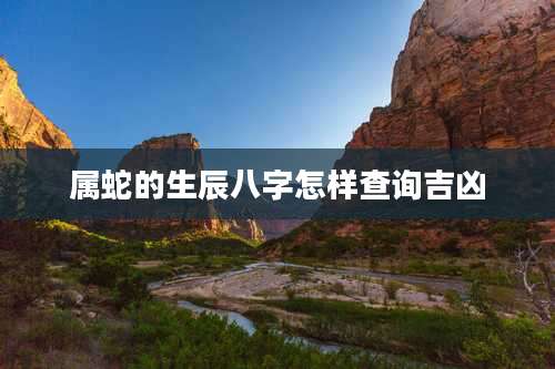 属蛇的生辰八字怎样查询吉凶