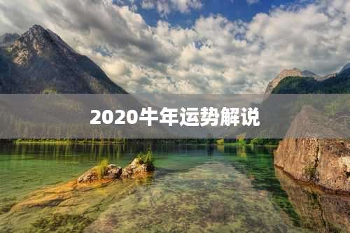 2020牛年运势解说