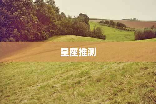 星座推测