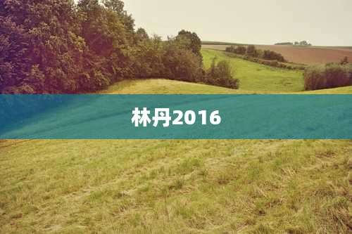 林丹2016