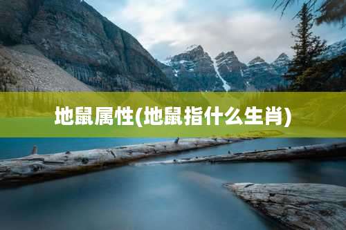 地鼠属性(地鼠指什么生肖)