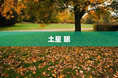 土星 眼