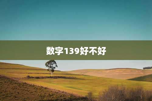 数字139好不好