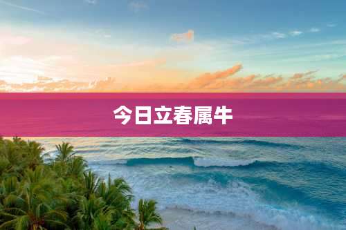 今日立春属牛