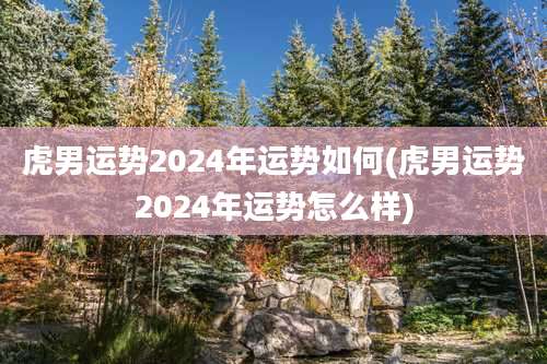 虎男运势2024年运势如何(虎男运势2024年运势怎么样)
