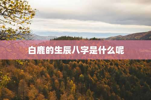 白鹿的生辰八字是什么呢