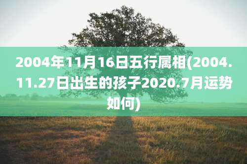 2004年11月16日五行属相(2004.11.27日出生的孩子2020.7月运势如何)
