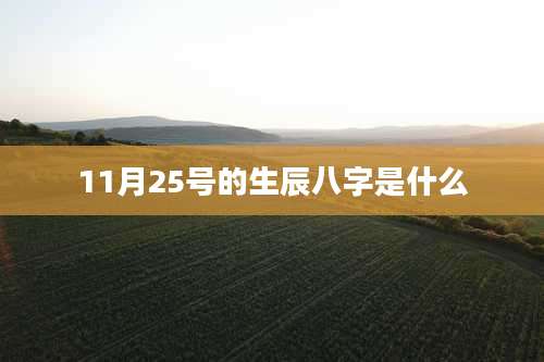 11月25号的生辰八字是什么