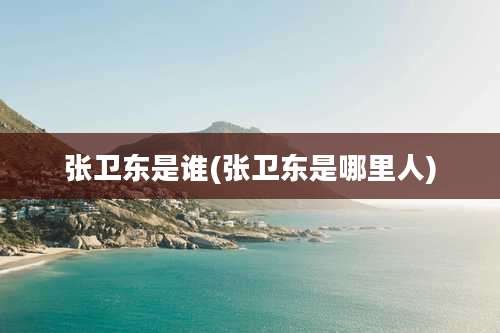 张卫东是谁(张卫东是哪里人)