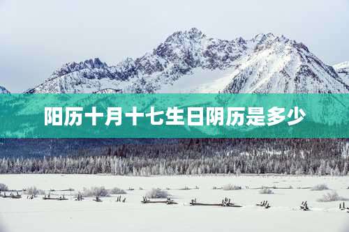 阳历十月十七生日阴历是多少