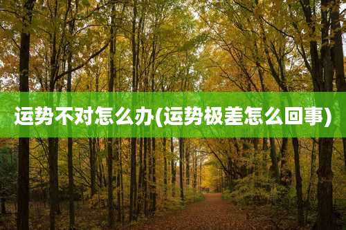 运势不对怎么办(运势极差怎么回事)