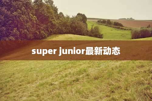 super junior最新动态