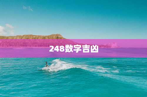 248数字吉凶