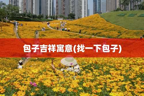 包子吉祥寓意(找一下包子)
