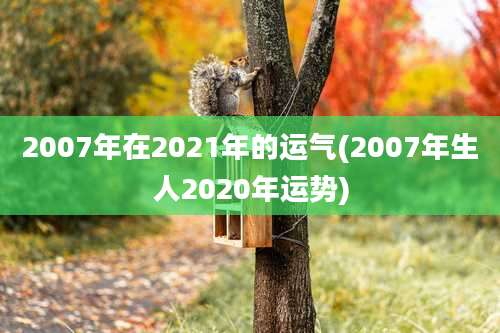 2007年在2021年的运气(2007年生人2020年运势)