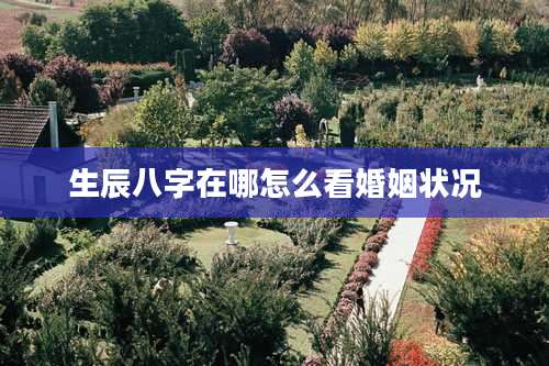 生辰八字在哪怎么看婚姻状况