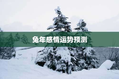兔年感情运势预测
