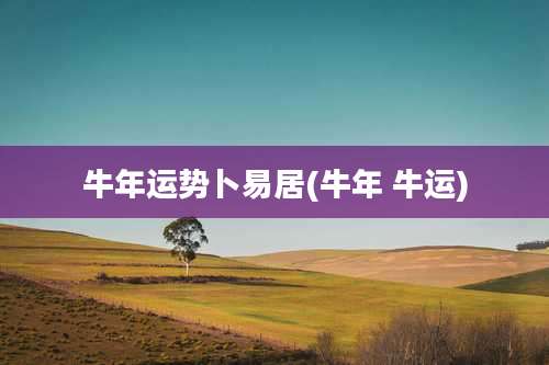 牛年运势卜易居(牛年 牛运)