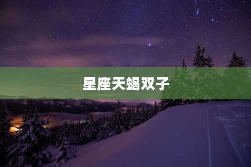星座天蝎双子